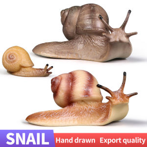Cute Wild Insect Animals Snail Model Garden Decoration PVC Miniature Educational Kids Toys