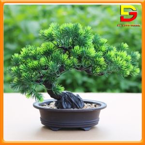 Chậu Cây Giả Để Bàn Chậu Cây Tùng La Hán Bonsai Giả Decor Trang Trí Nhà Cửa Nhà Hàng Văn Phòng DC-196