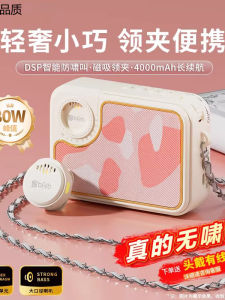 Wireless Beehive Amplifier Teacher Tour Guide Lecture Microphone Horn Speaker Portable Audio Visual Equipment KY01 Model