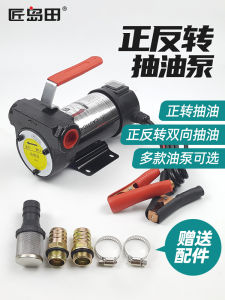 High Power Electric Bi-directional Diesel Oil Pump Portable Convenient Oil Siphon Water Pump Cast Iron Body from China