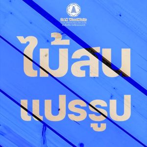 ไม้แปรรูปสนรัสเซีย 3.5x14.5x1.5cm, ชิ้น 2, SAK WoodWorks ส่งจากไทย