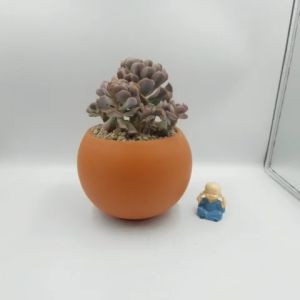 Chậu đất nung chậu sen đá - A ball succulent 13125 miệng chậu 13cm chiều cao 12.5cm