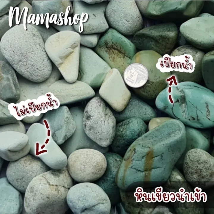 หินกรวดแม่น้ำสีเขียวหายากและหินเกล็ดขาวเพชร 1 กก. สำหรับโรยหน้ากระถาง