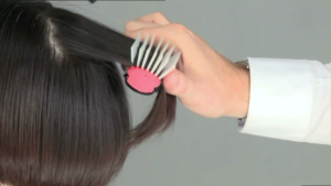 Denman D3 Kyoto Cherry Blossom Brush