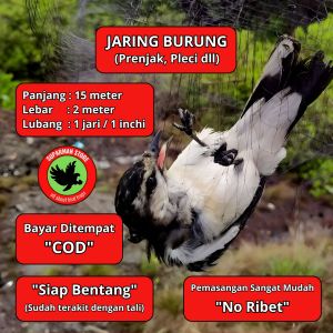 JARING BURUNG PIPIT PEKING BONDOL 3 JARING BURUNG PEKING JARING BURUNG SAWAH JARING BURUNG HAMA JARING BURUNG 1 JARI JARING BURUNG 1 INCI JARING BURUNG 1 INC JARING BURUNG 1 INCHI JARING BURUNG EMPRIT MURAH JARING BURUNG TINGGAL PASANG JARING BURUNG SIMPL