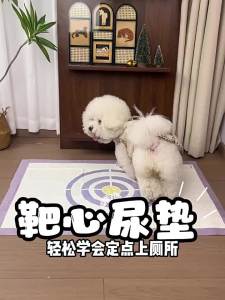 7o | Disposable Thickened Odor-Absorbent Pet Urine Pads