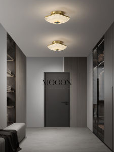 Modern Luxury Hall Ceiling Light