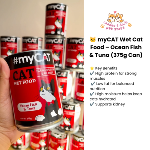 myCAT Wet Cat Food Ocean Fish & Tuna | High Protein | Kitten & Adult Cat Food | Good for Picky Eater