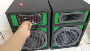 Spiker Karoke Bluetooth Bass Jamin Gler Istimewa 2 Box Aktif dan Pasif 8 Inch D10 Display Hijau