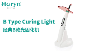 Horyn B Type LED Dental Curing Light 5W Wireless Rechargeable 1500mW/cm² Dental Polymerizer Lamp with Light Guide Rod Dentist Equipment