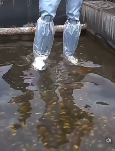 ถุงครอบรองเท้ากันฝน กันน้ำแบบพกพา ถุงคลุมรองเท้า แบบยาว ถุงคลุมเท้า กันฝน แพ็ค 1 คู่ ใช้แล้วทิ้ง ถุงคลุมรองเท้า Leg Cover รองเท้ากันฝน ถุงสวมเท้า