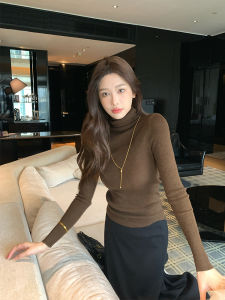 Womens Thickened High Collar Knitted Wool Sweater Autumn Winter Fashionable Commute Style Slim Fit Inner Wear Top