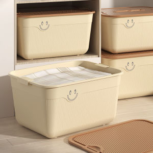 Plastic Large Capacity With Lid Organizer Box