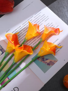 Hoa Mỏ Neo PU Giả Trang Trí Phòng Khách Bàn Ăn Chậu Hoa Khô Hoa Bất Tử Đồ Trang Trí Nhà Phong Cách Đơn Giản