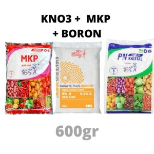 KNO3 PUTIH + MKP PAK TANI + BORON PAKET PUPUK ANGGUR BUAH SAYUR REPACK MASA BISA COD