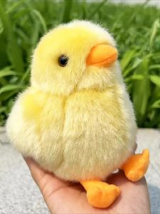 QIAOSHANG | Squeaky & Companion Baby Chick Plush Toy