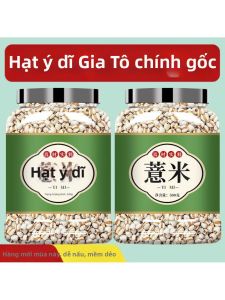 Hạt Ý Dĩ Mới Tươi