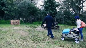 รถเข็นแคมป์ปิ้ง รถเข็นแข็งแรง รถเข็นพับ ลูกปืนยางตัน รับน้ำหนักได้ถึง450KG พร้อมล็อค 8 นิ้ว เพิ่มความจุ ฟังก์ชั่นเบรก ผ้าอ็อกซ์ฟอร์ด 600D