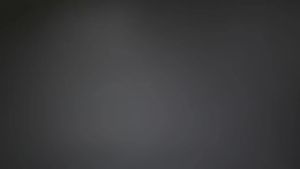 Sepatu Sneakers Remaja Pria Import: Sneaker WRZ & Best Seller