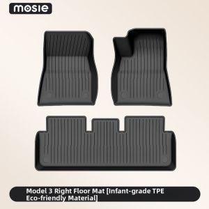 DIBOCHEPIN | Right-Hand Drive Tesla Model 3 & Y Compatible Car Floor Mat