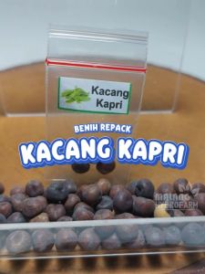 Benih Kacang Kapri Unggulan berkualitas biji bibit hydroponik hidroponik sayuran tanaman sayur hijau