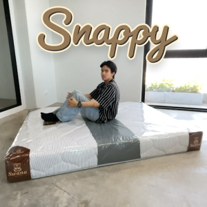 SWANA ที่นอนสปริง หนา 9 นิ้ว รุ่น SNAPPY สีเทา
