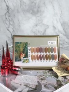 Sơn Gel AS Màu Thạch Đen Chai Đỏ 15ml Chính Hãng