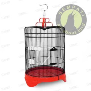 SEMPATI Sangkar Murai Jumbo Diameter 42cm Besi Import Sangkar Kandang Burung Murai Batu Besi Super Tebal Bukan Oriq Ebod Jaya Elitesong