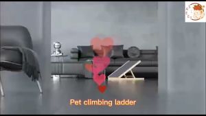 ON HAND / Pet Ramp Stair Dog Gym Solid Wood Slippery Cats Use the Ladder Folding Bed Small Dogs