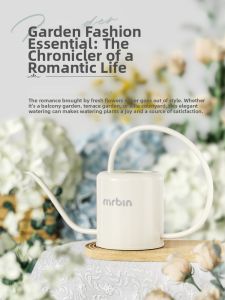 MR.Bin | Long Spout Aesthetic Fine-Tip Watering Can for House and Succulent Care