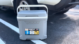 IGLOO PROFILE II 30 QT Cooler Box Ice Chest 41 Cans 28.4L Made in USA Cool Riser Technology Fits 2L Bottles Fishing Boat Camping Beach GREENWOOD