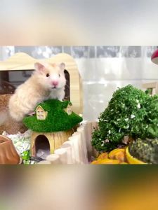CHONGXIAOSHUAI | All Seasons Pet Hammock Sleeping Nest