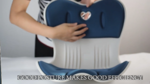 NGT Waist Support Cushion Ergonomic Anti-Fatigue Sitting Posture Correction  Waist Back Support School Office