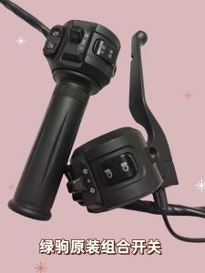 Original Green Horse Lion Tiger Electric Vehicle Combination Switch Battery Car Switch Throttle Assembly Parts