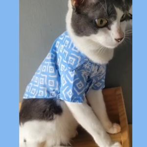 Pet Batik Shirt Cotton for Cats and Small Dogs