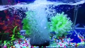 Đĩa sủi oxy cao cấp Siêu mịn 20CM 30CM Đĩa sủi tạo bọt khí oxy siêu mịn dành cho hồ cá Koi cá cảnh