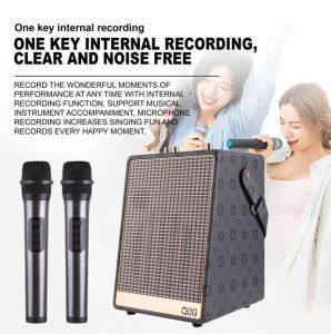 QIXI SK-2050 Leather Design Super Bass Sound Wireless Bluetooth Karaoke Speaker Multiple Functions with Wired Microphone