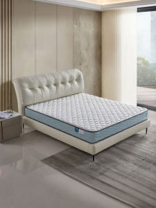 Airland | Orthopedic Household Latex & Coconut Spring Mattress