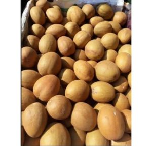 Jual buah sawo madu super manis 1kg