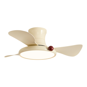 NSWR | Eye-protecting Silent Ceiling Fan Light