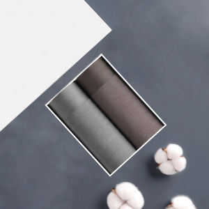 JIAZINI | Breathable Thin Summer New Mens Boxer Briefs