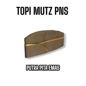 TOPI MUTZ ASN / PNS PEGAWAI ATAU VETERAN PUTRA Warna Cream ada list Emas List Putih List Coklat