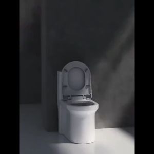 BAILU Local ship white Water Closet Toilet Bowl Set Full Set One Click Pumping