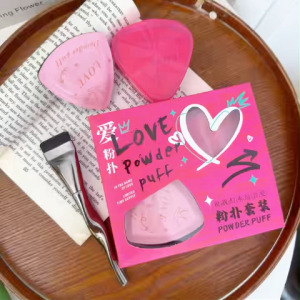 Makeup Sponge Set with Box Foundation Concealer Sponge Puff Dual-Use Wet Dry Triangle Powder Puff Makeup Air Cushion Foundation Brush Soft Sponges Blender Perfect Gift
