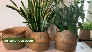Natural Seagrass Basket Flower Pot Belly Basket Storage Basket Plant Basket Flower Pot Cover Groceries and Toy Storage