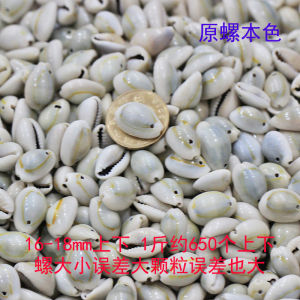 Natural Gold Edge Sea Snail Small Shell Beads DIY Craft Material Bracelet Necklace Pearl Mother of Pearl Fashion Jewelry Accessories