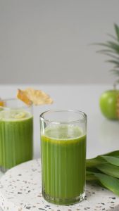 Ecohome Slow Juicer Simplicity Grid ESJ999SG / ESJ-999SG Pengekstrak Buah