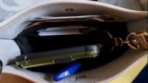 Evelyn จัดระเบียบ และ ดันทรงกระเป๋า [ดันทรงกระเป๋า]