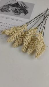 Dekorasi Ruangan Interior dengan Bunga Japanese Skimmia & Lavender Grain Spike Imitasi Import