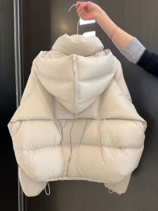 DANTING | Stylish Korean-Style Short Hooded Down Jacket